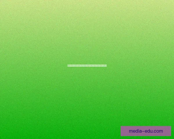 定制专属皮肤打造个性化体验提升游戏魅力与玩家互动新体验