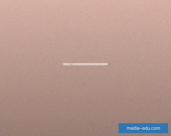 战国美少女2全新冒险开启掌控命运的力量智勇双全的少女们再度集结