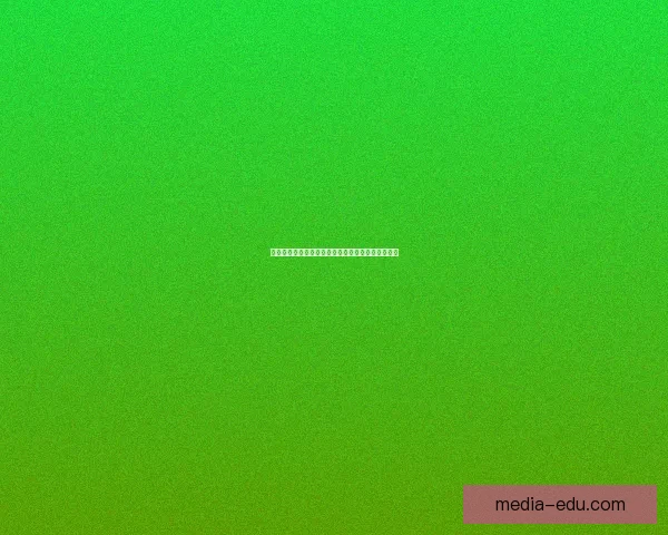 武士之魂复仇之路破碎命运的选择与荣耀的最终对决