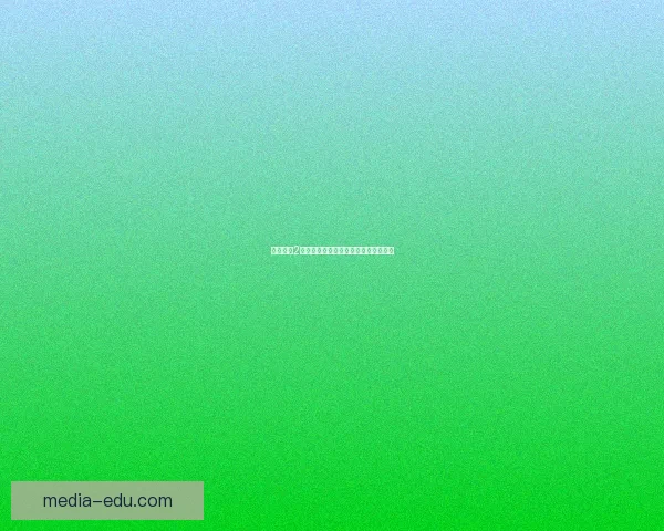 火炬之光2火法加点攻略最佳选择与技能搭配解析