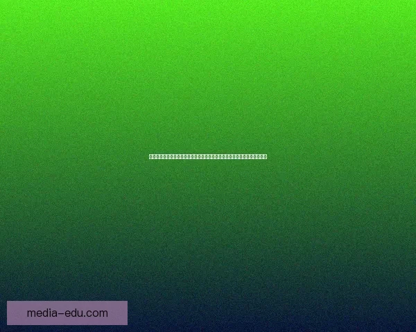 以特殊的怜悯之情为核心探讨人性中的脆弱与坚韧如何交织成生命的独特篇章